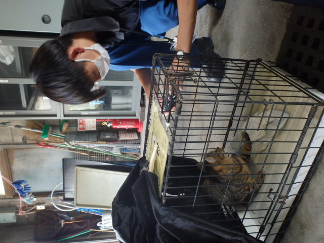 shimin_eisei_img04.jpg