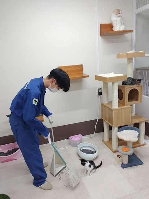 shimin_eisei_img05.jpg